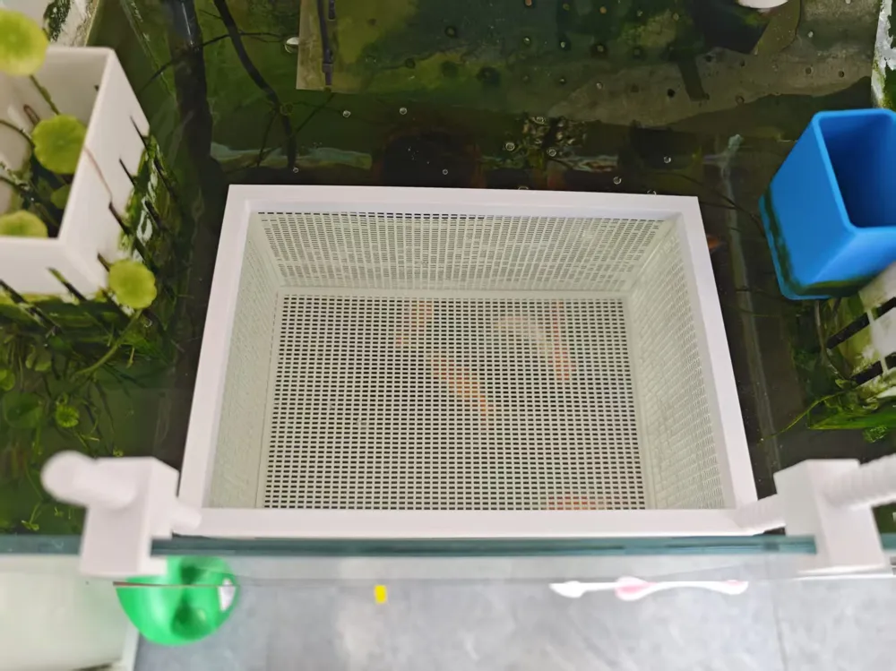 Fish Tank Isolation Box, Hatching Box, Breeding Box with Adjustable ...