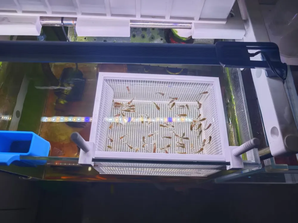 Fish Tank Isolation Box, Hatching Box, Breeding Box with Adjustable ...