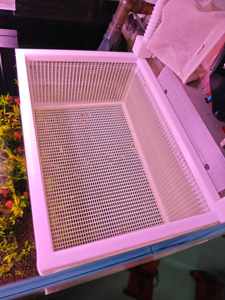 Fish Tank Isolation Box, Hatching Box, Breeding Box with Adjustable ...