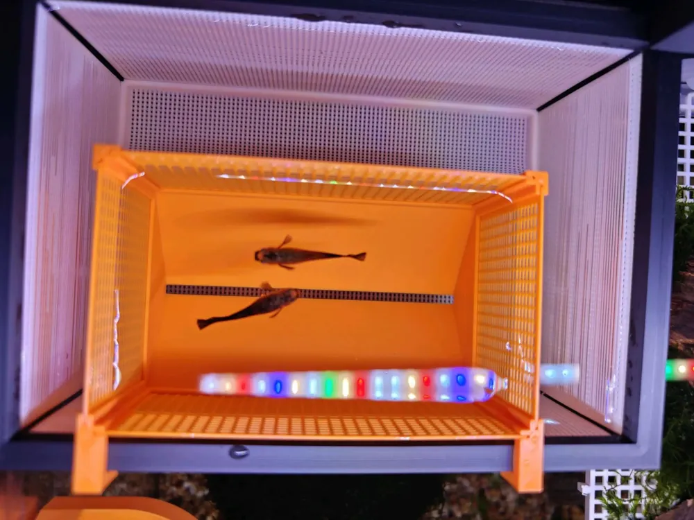 Fish Tank Isolation Box, Hatching Box, Breeding Box with Adjustable ...