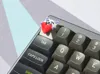 Multicolor - 0.2mm nozzle, 0.1mm layer, 4 walls, 15% infill