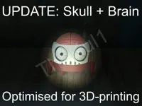 Skull + Brain