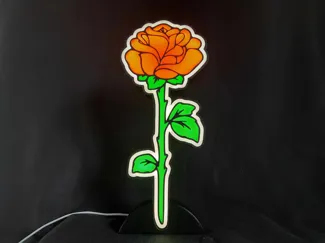 Lightbox rose