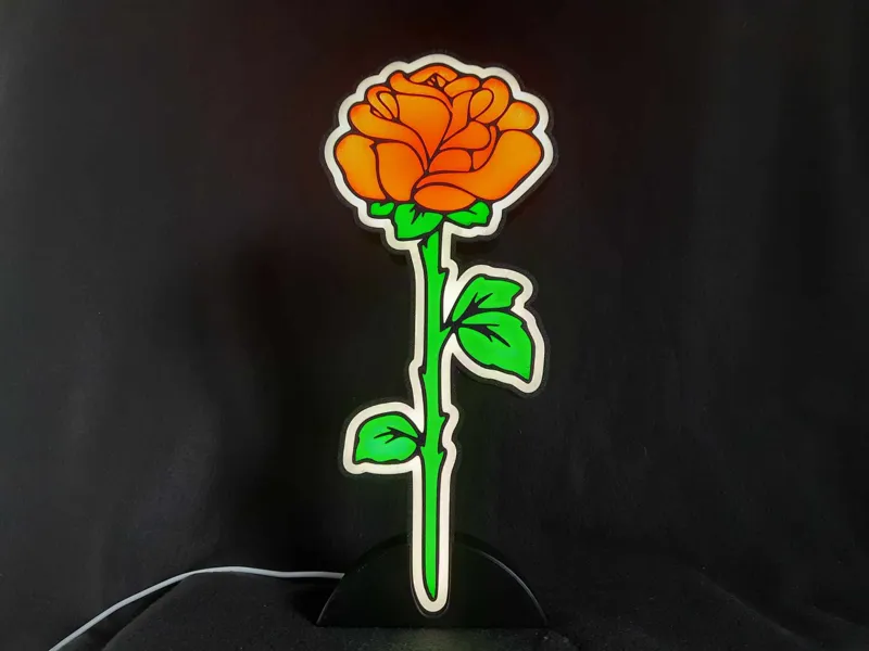 Lightbox rose