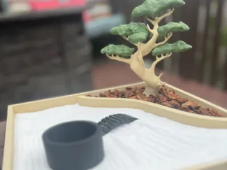 Bonsai Zen Garden