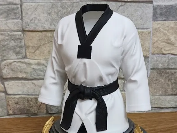 Tapa o cubierta: Trofeo Taekwondo Personalizable. Referencia del modelo original.