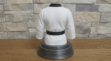 Tapa o cubierta: Trofeo Taekwondo Personalizable — vista de referencia 5