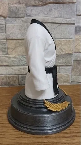 Tapa o cubierta: Trofeo Taekwondo Personalizable — vista de referencia 4
