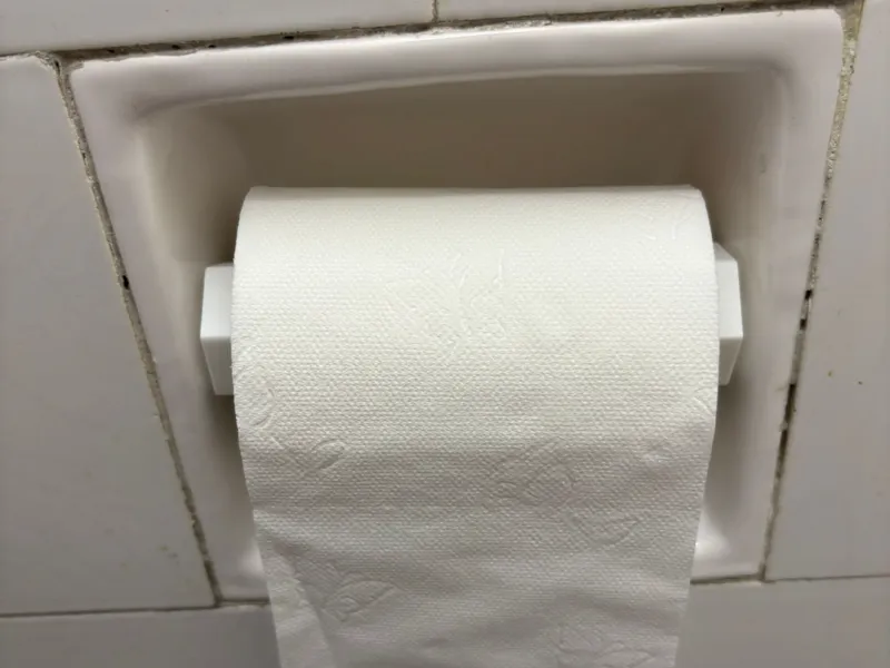 Toilet paper holder-screw