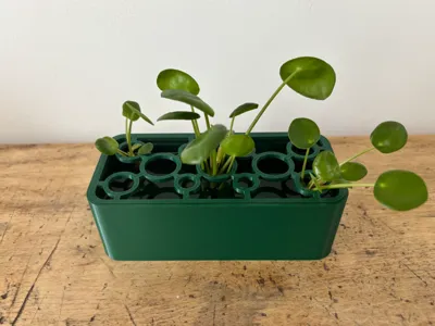 Propagation box