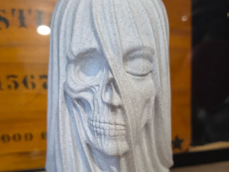 Veiled Two Faced Woman and Skull