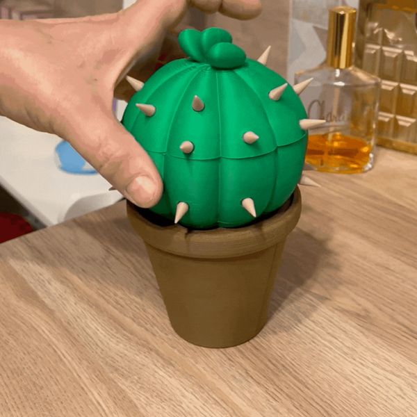 https://makerworld.bblmw.com/makerworld/model/US3002809dd6f827/design/2025-06-29_7f848ee128c99.gif