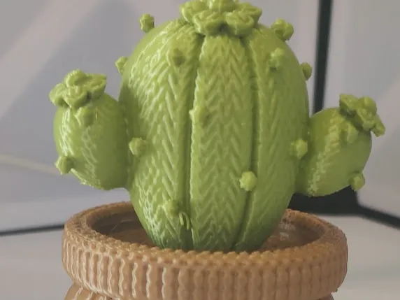 Cactus Pot – Decorative Mini Planter
