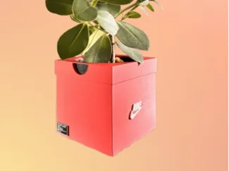Nike‑Style Sneaker Box Planter – Flower Pot