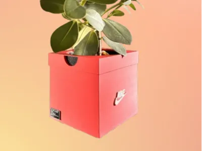 Nike‑Style Sneaker Box Planter – Flower Pot