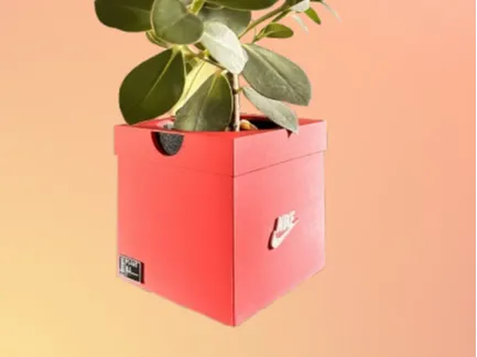 Nike‑Style Sneaker Box Planter – Flower Pot