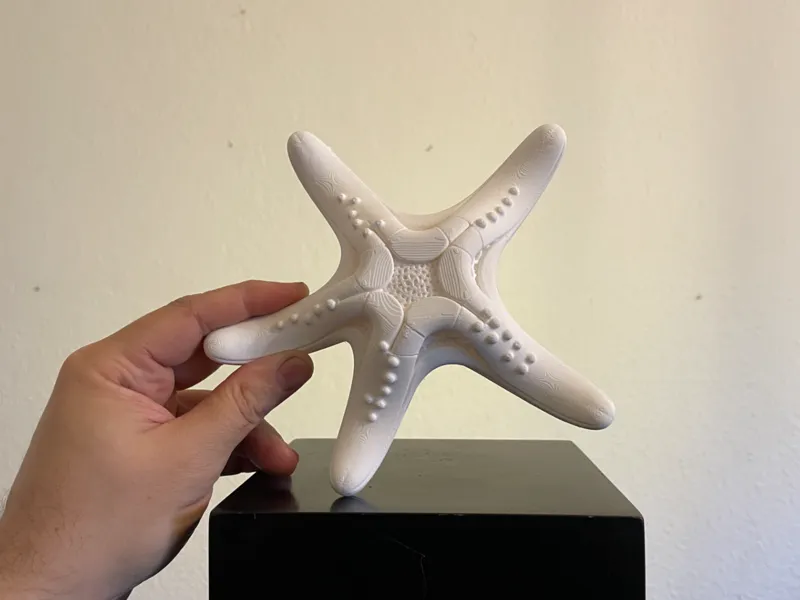 Seestern, Hexa Sculptur
