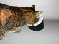 Angled Holder and Bowl