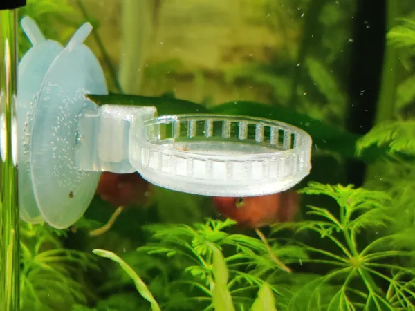 https://makerworld.bblmw.com/makerworld/model/US30138f2992d5dc/design/2025-05-22_7d7b66d1ca12c.jpg