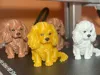 0.08mm layer, 2 walls, 8% infill