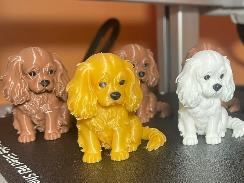 Agnes: The Adorable Cavalier King Charles Spaniel