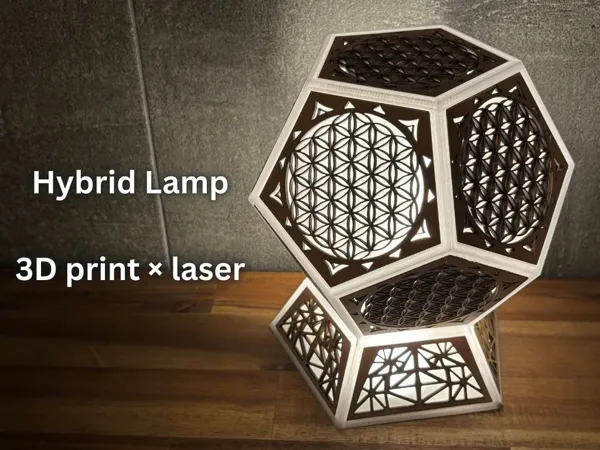 https://makerworld.bblmw.com/makerworld/model/US301b1a83e47e2b/design/2025-08-30_1983faf5da477.jpg