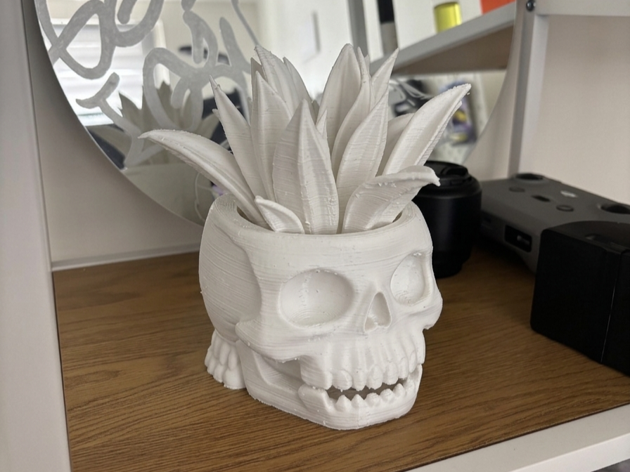 Gothic Skull Succulent | Edgy Desktop Planter