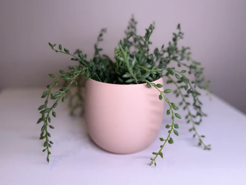 Short Pot or Vase