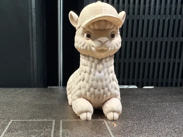 https://makerworld.bblmw.com/makerworld/model/US301e4a5582cc86/design/2025-09-05_59d9430b100d7.jpg