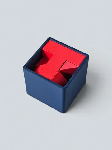 Caja o estuche: Fracture Puzzle - Very Hard 6-Piece Packing Puzzle — vista de referencia 3