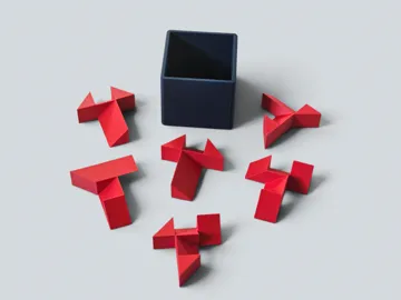 Caja o estuche: Fracture Puzzle - Very Hard 6-Piece Packing Puzzle — vista de referencia 4