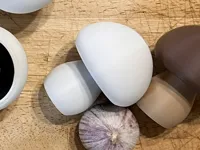 Mushroom Clicker-White