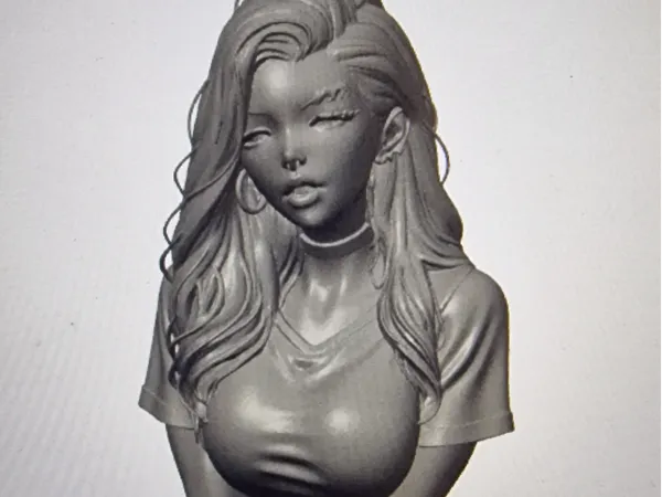 https://makerworld.bblmw.com/makerworld/model/US3025e4de533295/design/87207b7cde4fc978.jpg