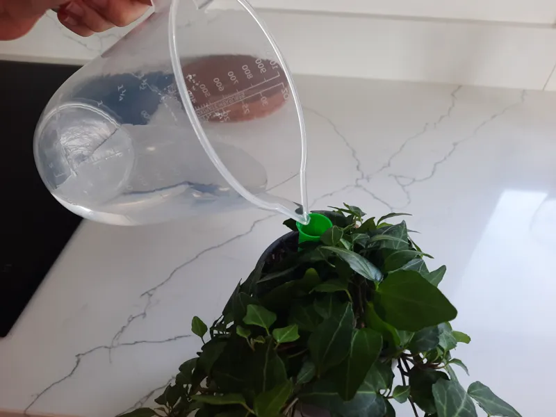 Plant pot watering helper!