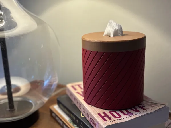 https://makerworld.bblmw.com/makerworld/model/US30302cc9d84dff/design/2024-12-05_e30122d8c9d48.jpg