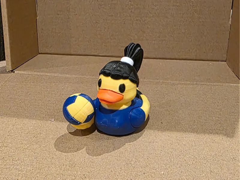 Jeep Ducks - volleyball duck(female)