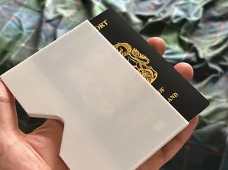 Passport Protector Sleeve (UK)