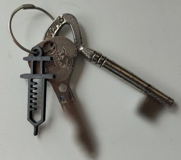 https://makerworld.bblmw.com/makerworld/model/US30391c4f60447a/design/2023-12-12_021dd59361c1c.png