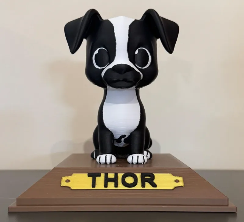 Thor: Tu Mascota en un Modelo Personalizable