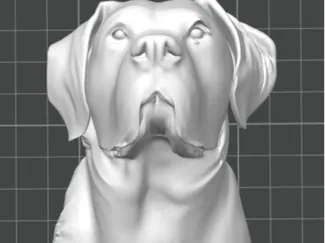 Portrait of my sister's dog