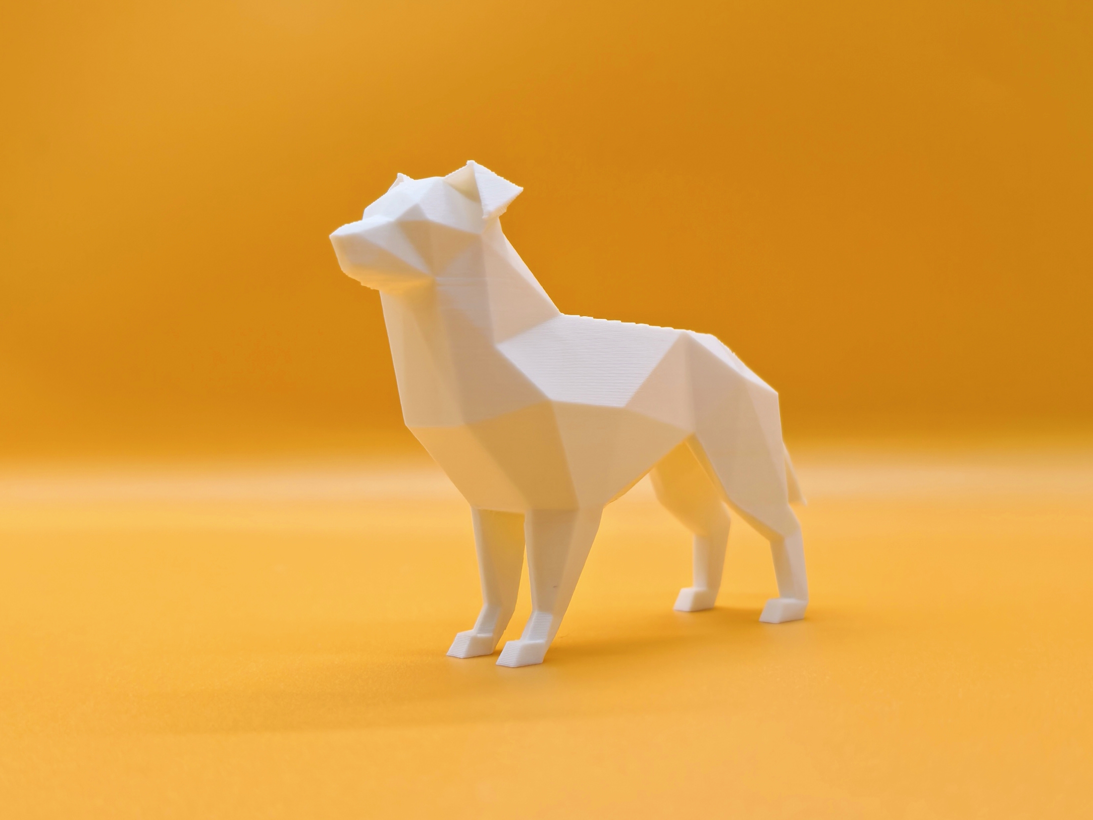 Miniatura 3 do modelo 3D 低多边形  边境牧羊犬（分色分件/多色）