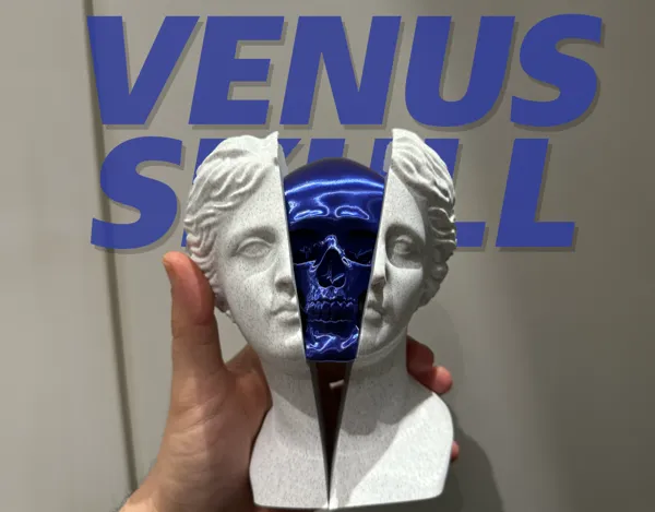 https://makerworld.bblmw.com/makerworld/model/US30421d388ae20/design/2024-04-12_4a84d7b02ea46.png