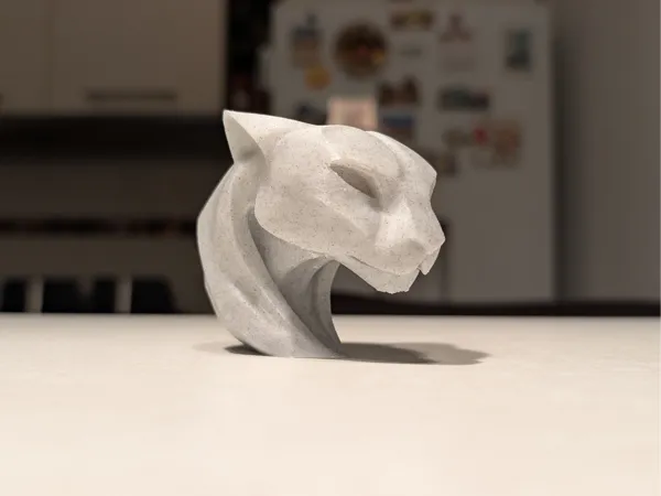 https://makerworld.bblmw.com/makerworld/model/US3042315297b744/design/2025-04-14_7f7b417dc200d.jpg