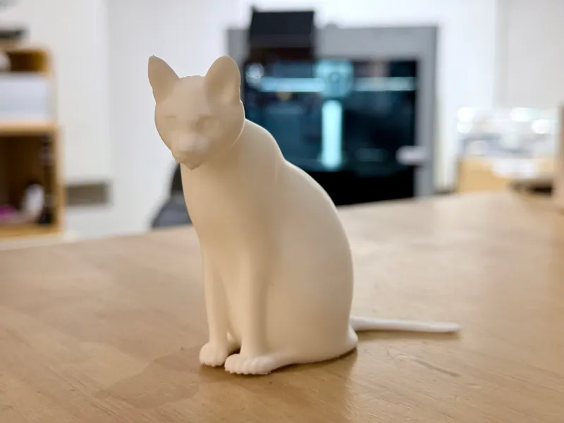 3D cat model. Cat's name: GOGO
