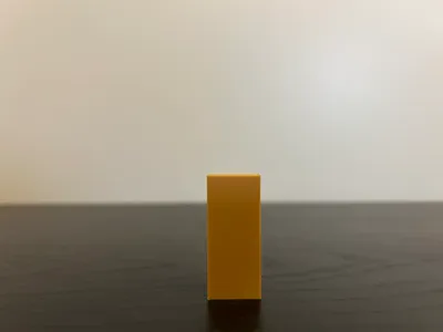 1:1 Scale Domino