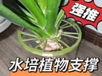 0.28mm 层高, 2 层墙, 15% 填充