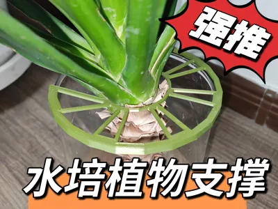 Hydroponic plant support