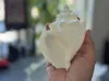 0.2mm layer, 2 walls, 5% infill