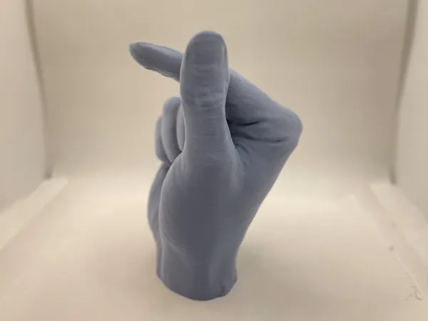 https://makerworld.bblmw.com/makerworld/model/US3051d745a11169/design/2024-12-13_74a2102edfce2.jpeg