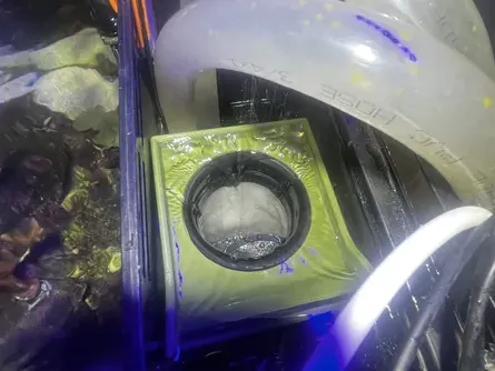 Biocube 32 Filter sock